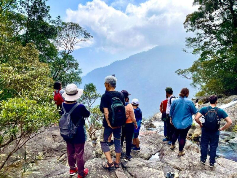 bach-ma-national-park-trekking-tour-1-day-from-hue-city