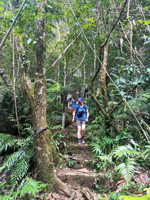 bach-ma-national-park-trekking-tour-1-day-from-hue-city