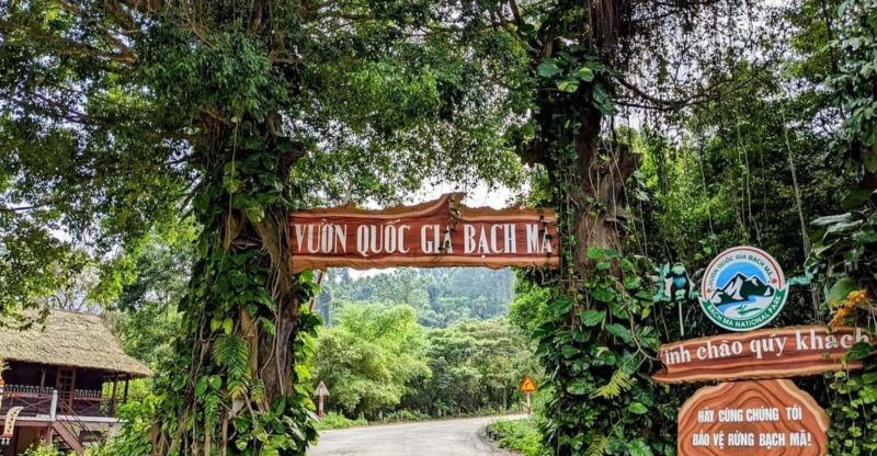 bach-ma-national-park-trekking-tour-from-hue-da-nang-hoi-an