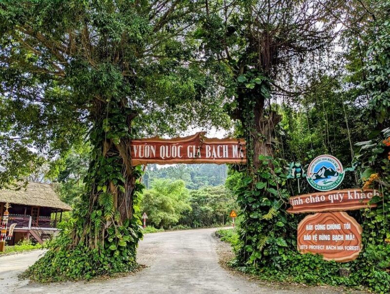 bach-ma-national-park-trekking-tour-from-hue-da-nang-hoi-an