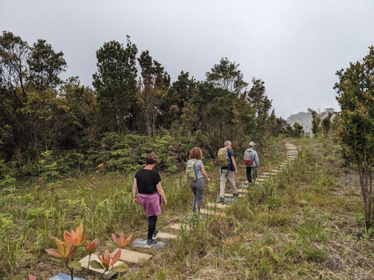 bach-ma-national-park-trekking-tour-from-hue-da-nang-hoi-an