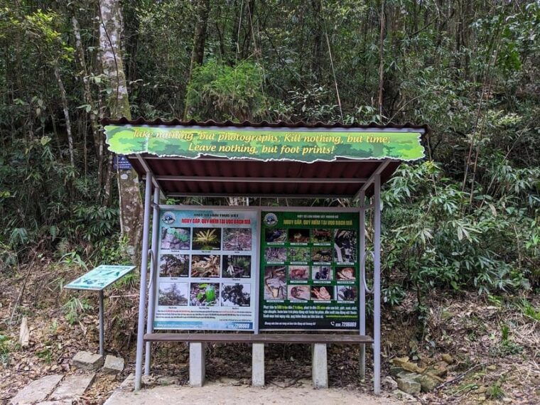 bach-ma-national-park-trekking-tour-from-hue-da-nang-hoi-an