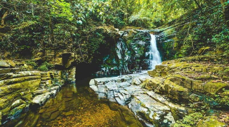bach-ma-national-park-trekking-tour-hoi-an-da-nang-hue