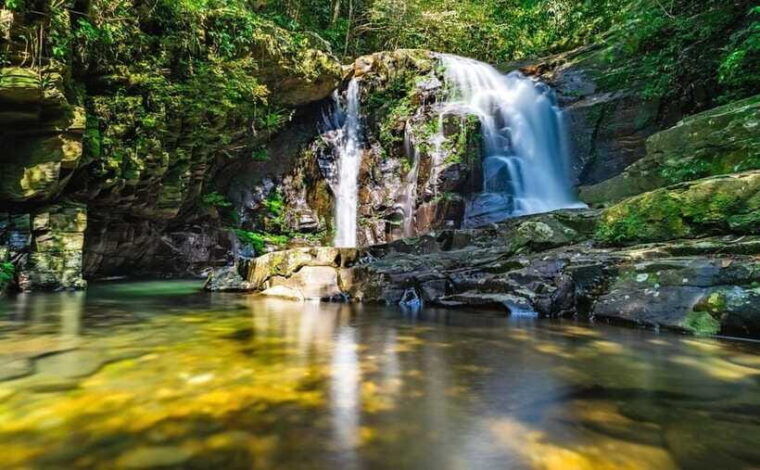 bach-ma-national-park-trekking-tour-hoi-an-da-nang-hue