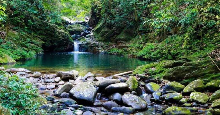 bach-ma-national-park-trekking-tour-hoi-an-da-nang-hue