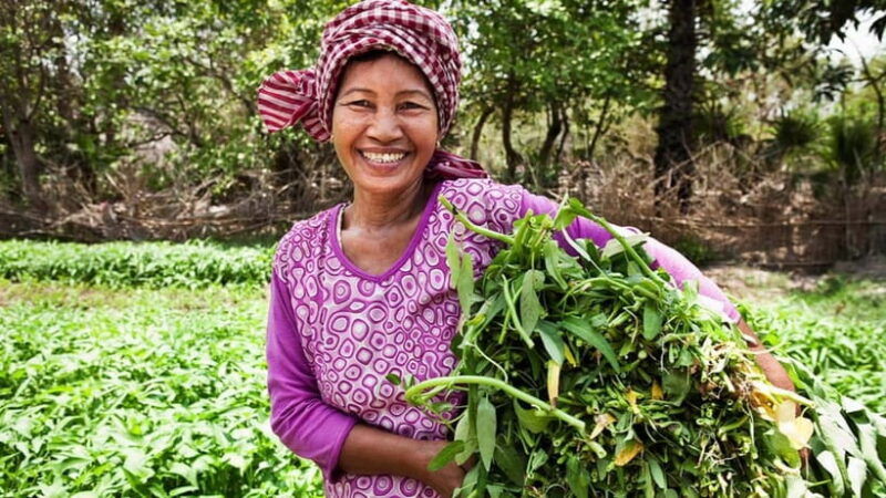 back-to-basics-siem-reap-village-tour-in-cambodia