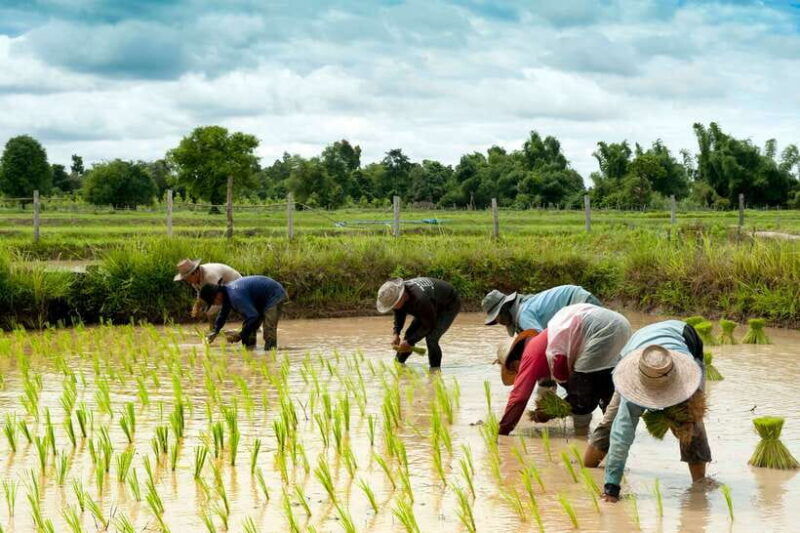 back-to-basics-siem-reap-village-tour-in-cambodia