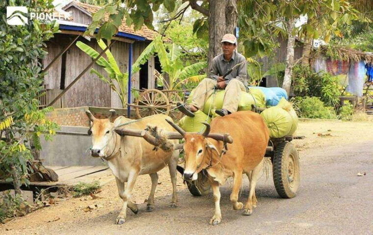 back-to-basics-siem-reap-village-tour-in-cambodia