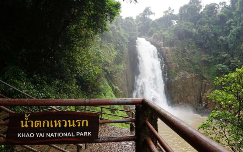 Back to Nature Trekking and Hiking at Khao Yai National Park - An Overview of the Tour Experience