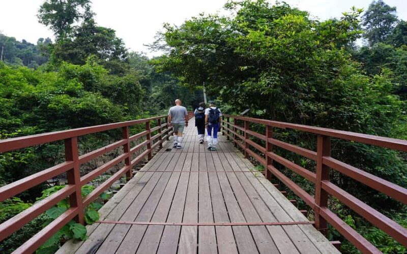Back to Nature Trekking and Hiking at Khao Yai National Park - What Travelers Say: Authentic Insights