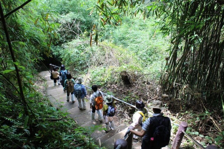back-to-nature-trekking-and-hiking-at-khao-yai-national-park