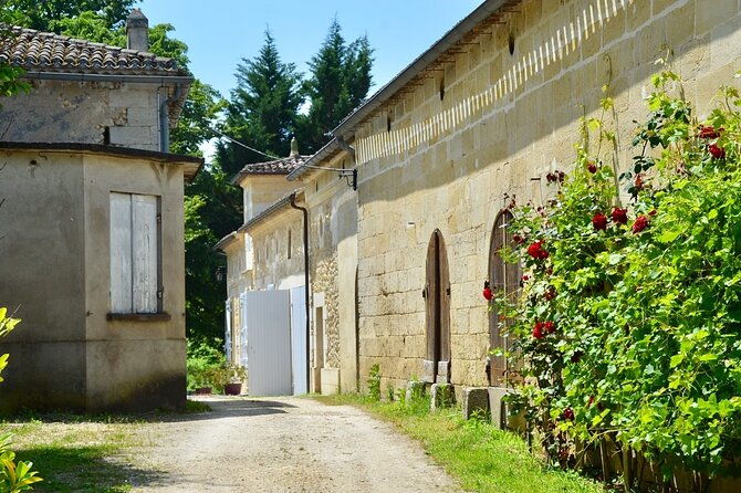 backcountry-e-bike-adventure-from-bordeaux-wine-tasting-lunch-2