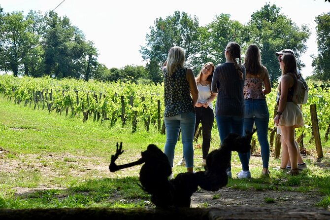 backcountry-e-bike-adventure-from-bordeaux-wine-tasting-lunch