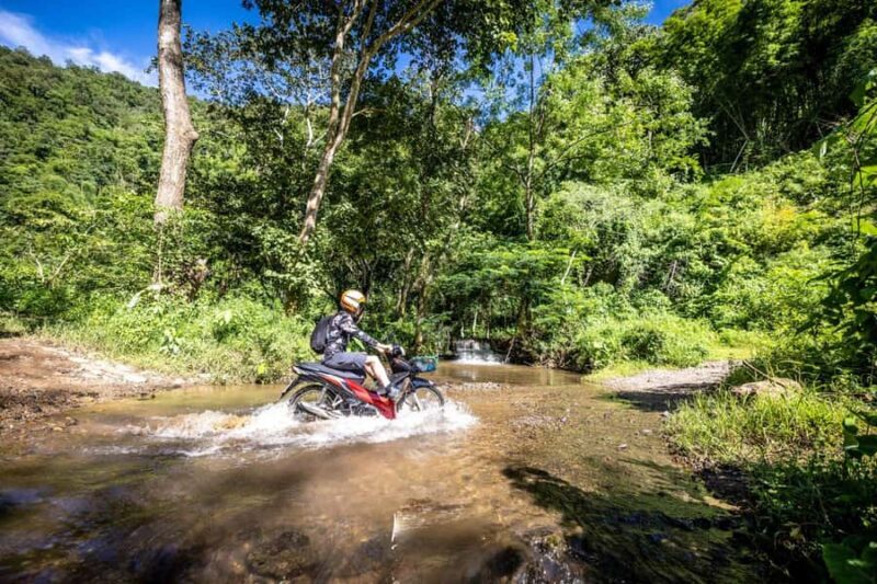 Backcountry Scooter Adventure, Elephants, Cave, scenic views - Who Should Consider This Tour?