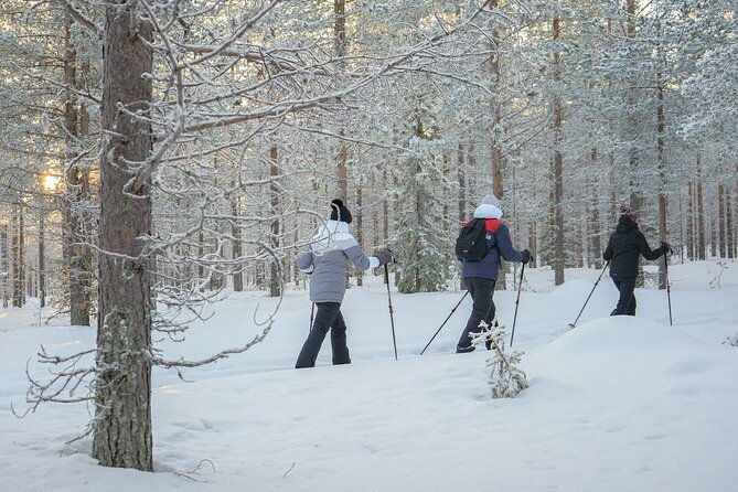 backcountry-ski-adventure-from-rovaniemi