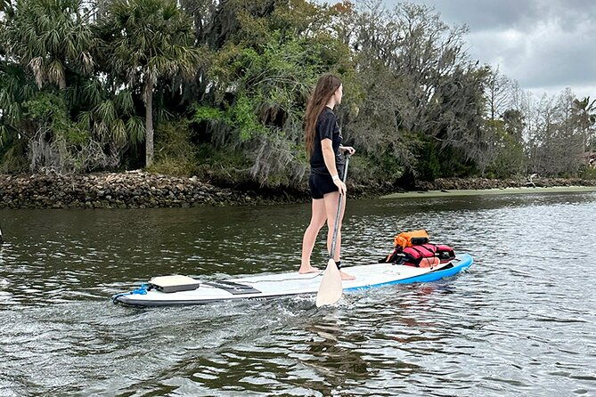 backland-alligator-electric-paddle-tour