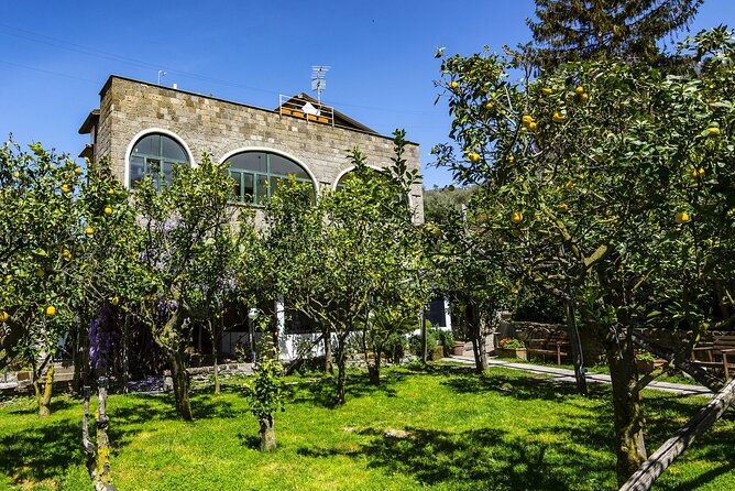 backroads-limoncello-experience-sorrento-e-bike-tour
