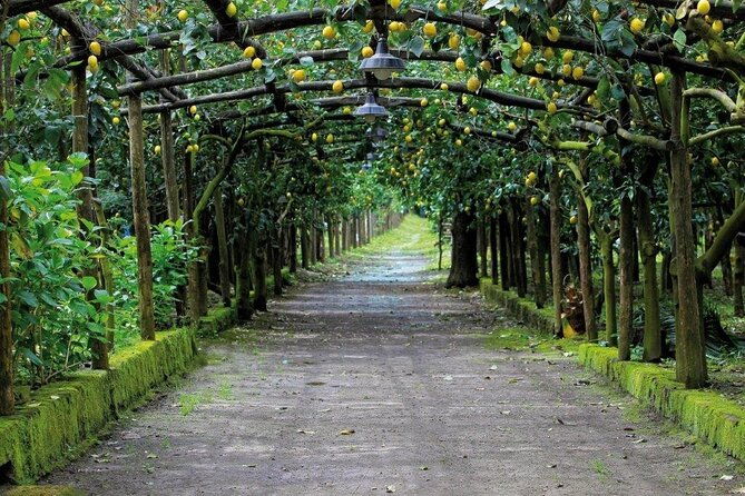 backroads-limoncello-experience-sorrento-e-bike-tour