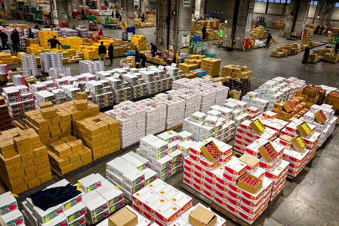 Backstage Pass to Sapporo Central Market - A Deep Dive into the Tour Experience