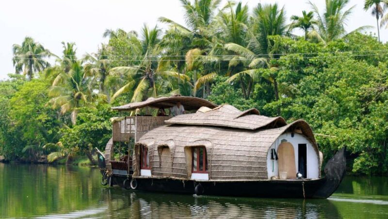 Backwater of Kerala Alleppey Houseboat Cruise Overnight Tour - Practical Details: What to Expect and What to Consider