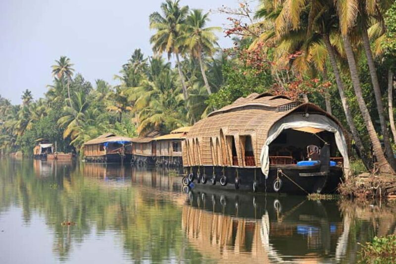 Backwater of Kerala Alleppey Houseboat Cruise Overnight Tour - Final Thoughts