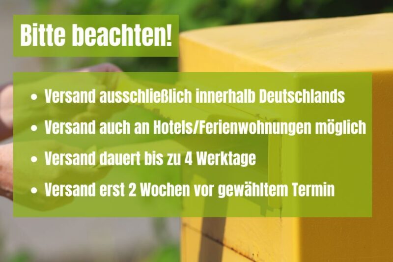 Bad Schandau: Scavenger Hunt through Saxon Switzerland - Key Points