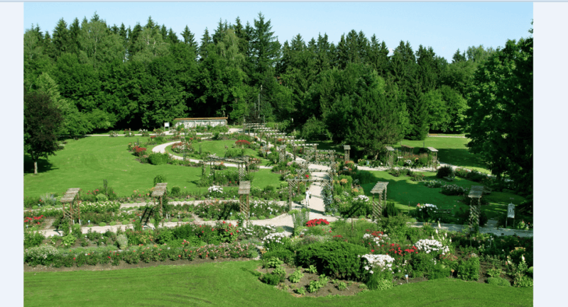 bad-worishofen-rose-garden-tour