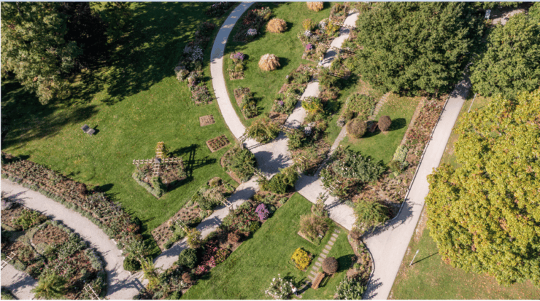 bad-worishofen-rose-garden-tour