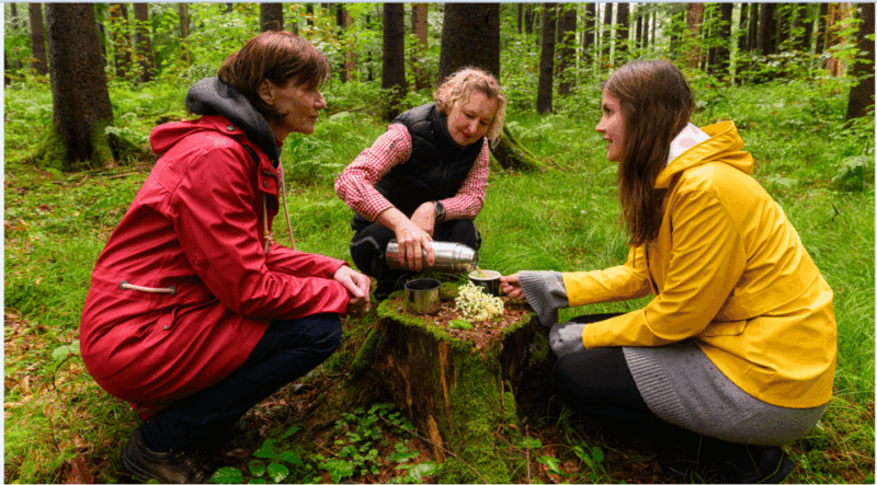 bad-worishofen-shinrin-yoku-forest-bathing