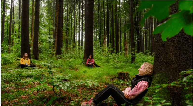 bad-worishofen-shinrin-yoku-forest-bathing