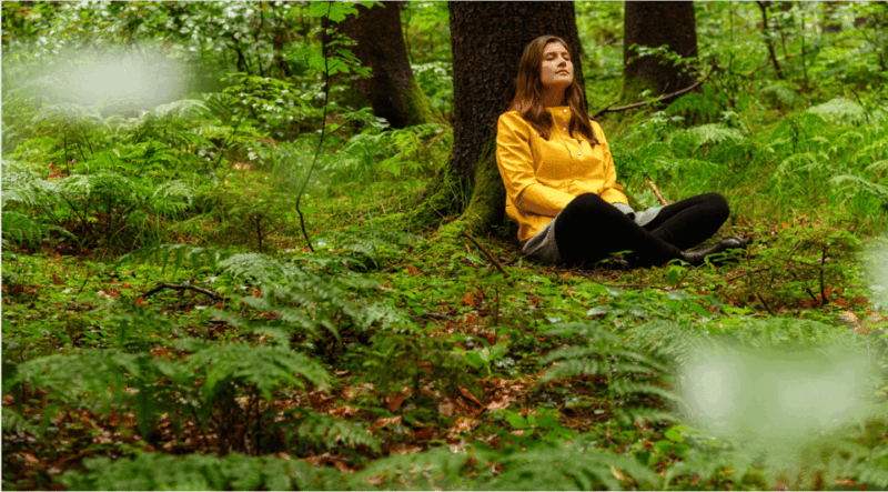 bad-worishofen-shinrin-yoku-forest-bathing