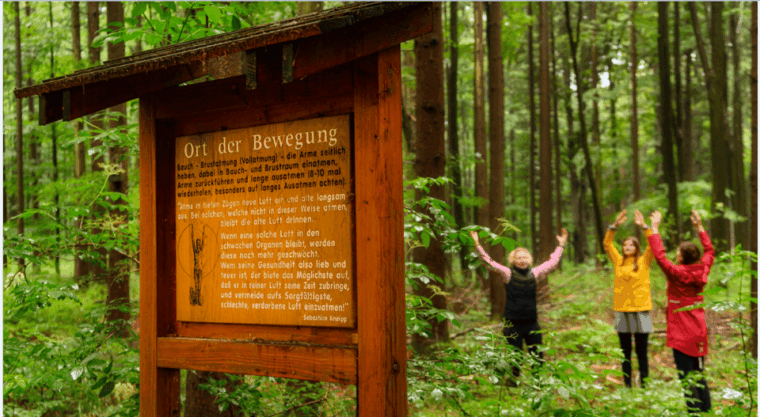 bad-worishofen-shinrin-yoku-forest-bathing