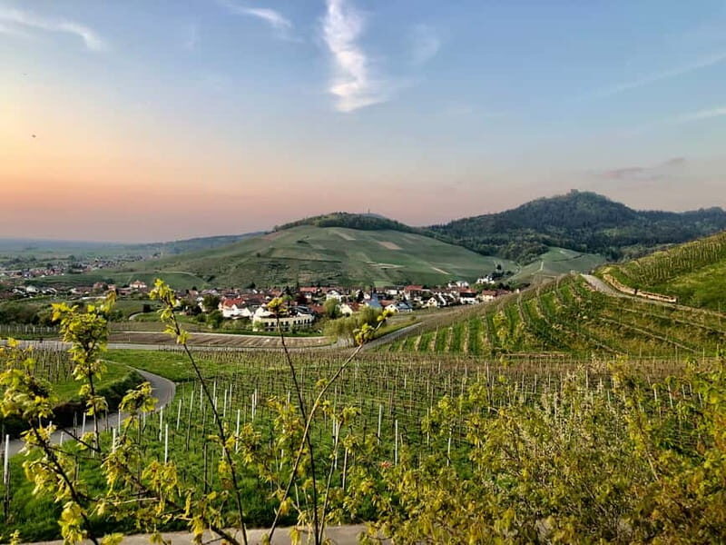 Baden-Baden: Private e-Mountainbike Tour with local Guide - Why Choose This Tour?
