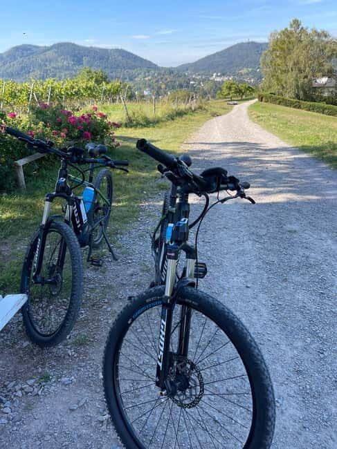 Baden-Baden: Private e-Mountainbike Tour with local Guide - Final Thoughts
