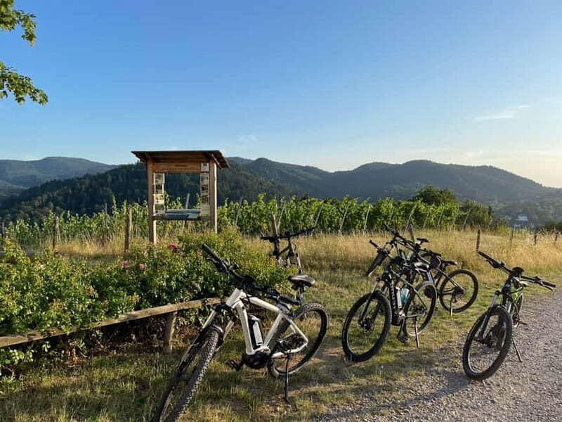 Baden-Baden: Private e-Mountainbike Tour with local Guide - FAQs
