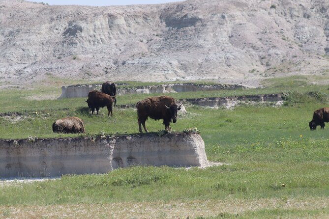 badlands-national-park-tour-the-ultimate-private-experience