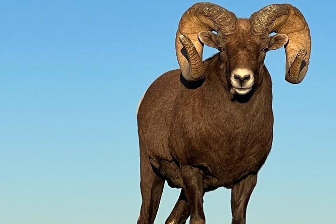 badlands-wall-drug-and-agate-hunts-adventure