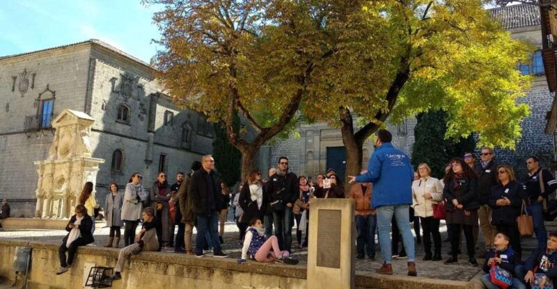 baeza-2-5-hour-guided-city-tour-in-english-french