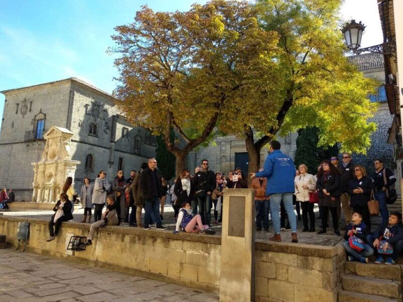 baeza-2-5-hour-guided-city-tour-in-english-french