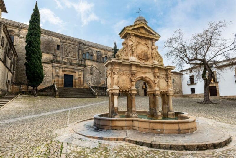 baeza-baeza-cathedral-entry-ticket