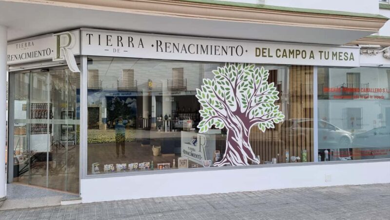 Baeza: Visit to an Organic Olive Grove + Oil Tasting - Exploring the Olive Grove Experience