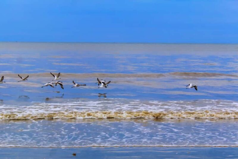 Bagamoyo Day trip from dar es salaam - The Itinerary Deep Dive  