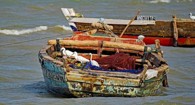 Bagamoyo Day trip from dar es salaam - What To Expect: Practical Insights  