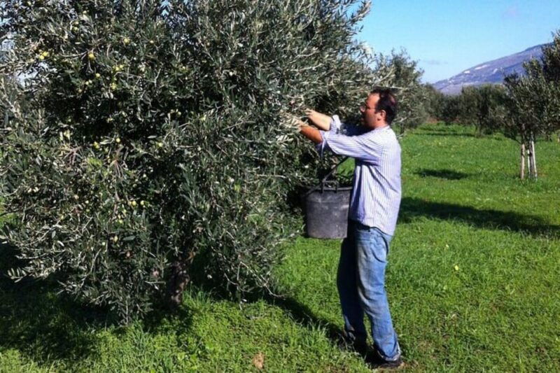 baglio-florio-adamo-oil-tasting