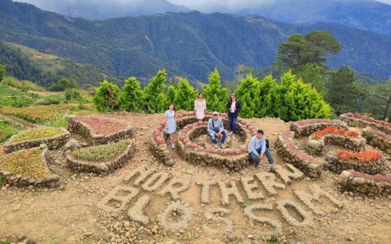 baguio-atok-flower-blossoms-private-tour