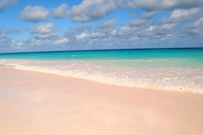 bahamas-famous-pink-sand-and-pig-experience-with-snorkeling