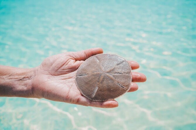 bahamas-local-water-tours-to-george-town-and-exuma