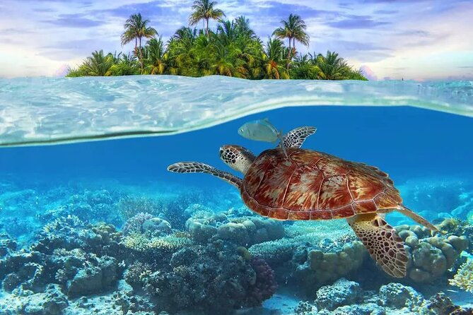 bahamas-local-water-tours-to-george-town-and-exuma