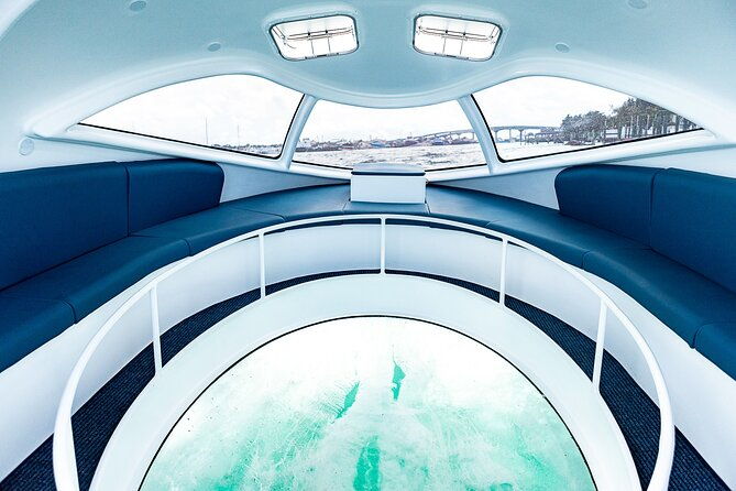bahamas-on-a-semi-submersive-glass-bottom-boat