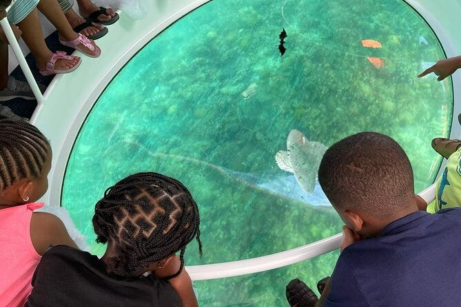 bahamas-on-a-semi-submersive-glass-bottom-boat